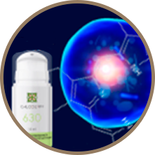 Фотосенсибилизатор CHLODERM®