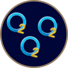 Образование активных форм кислорода